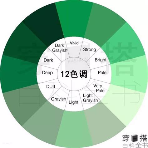 綠色代表什麼意思|【綠色代表意義】不可不知的「綠」色代表意涵：帶你。